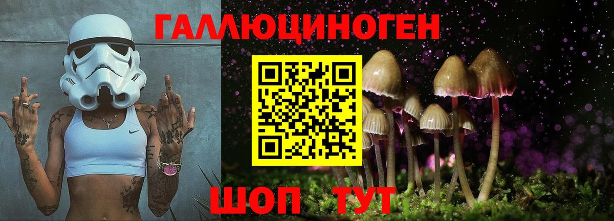 Псилоцибиновые грибы MAGIC MUSHROOMS Рассказово
